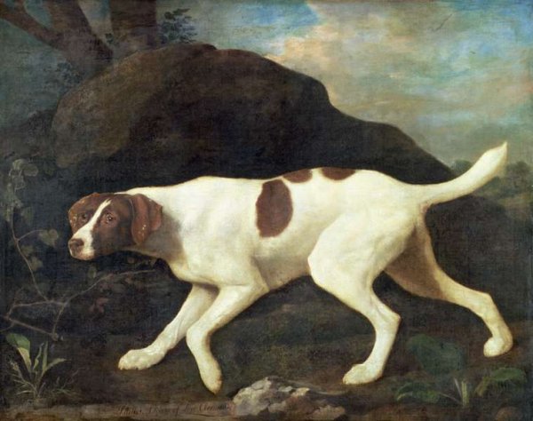 Phillis, a Pointer of Lord Clermonts, 1772