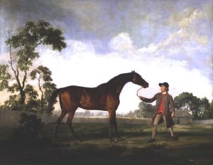 The Duke of Ancasters bay stallion Spectator, held by a groom, c.1762-5