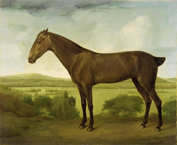 Brown Horse in a Hilly Landscape, c.1780-1800