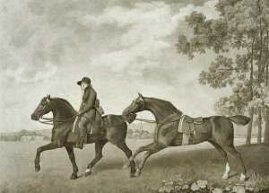 Two Hacks, engraved by George Townley Stubbs bap.1748-c.1815