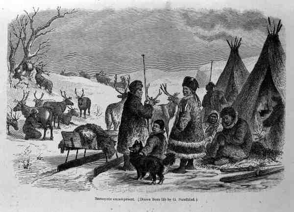 Samoyede Encampment, from The History of Mankind by Prof. Friedrich Rayzel, pub. in 1904