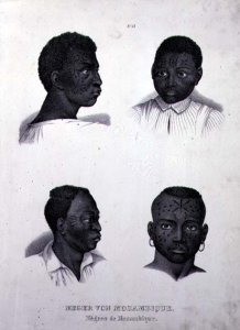 Negroes of Mozambique, c.1850