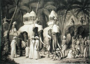 Elephants of the Raja of Travandrum, from Voyage in India, engraved by Louis Henri de Rudder 1807-81