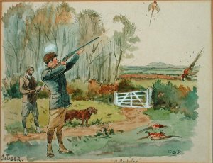 The Month of October Pheasant Shooting