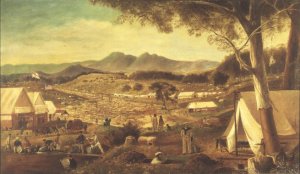 Gold diggings, Ararat, 1853