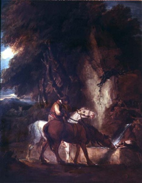 Horse Drinking