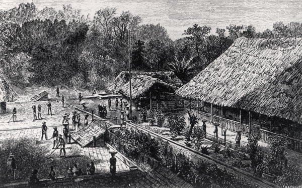 Workers on a Coffee Plantation