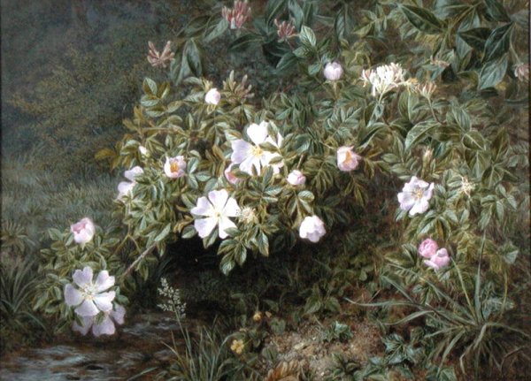 A study of Dog Roses, c.1900