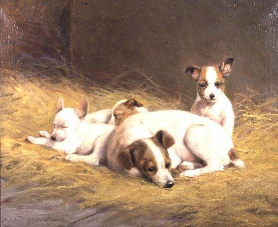 A Terrier with Three Puppies