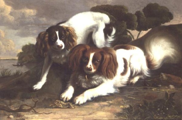 Two King Charles Spaniels Playing with a Frog