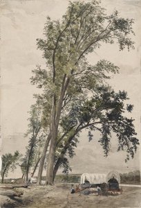 Council Bluffs Ferry and a Group of Cottonwood Trees, Iowa, 1853