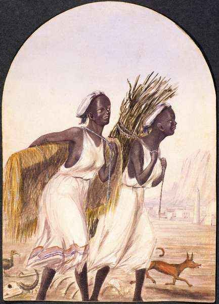 Somali Women at Aden, 1858