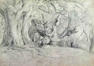 Ancient Trees, Lullingstone Park, 1828