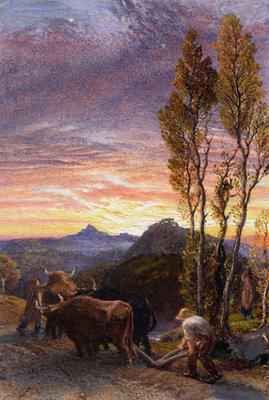 Oxen Ploughing at Sunset