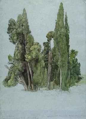 The Cypresses at the Villa d'Este, Tivoli