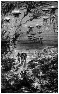 Illustration from 20000 Leagues Under the Sea by Jules Verne