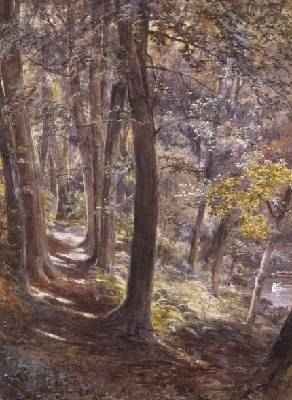 A Woodland Glade 1872