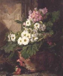 Still life of primulas