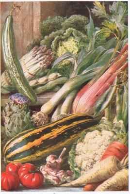 Garden Vegetables illustration from Garden Ways and Garden Days