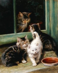 Kittens