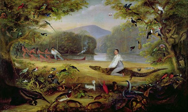 Charles Waterton capturing a cayman