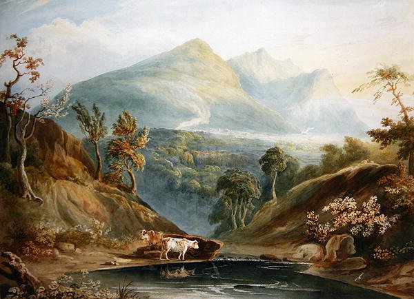 Extensive Landscape with Cattle Watering