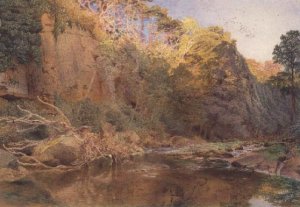 A river landscape