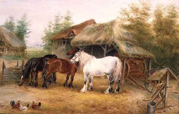 Carthorses in a farmyard