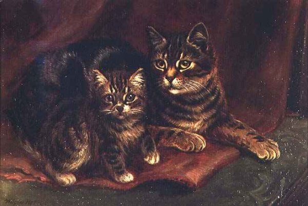 A Tabby Cat with a Kitten