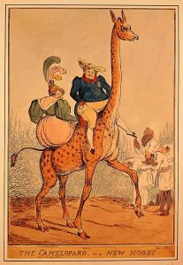 The Camelopard or a New Hobby