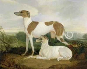 Two Greyhounds in a Landscape