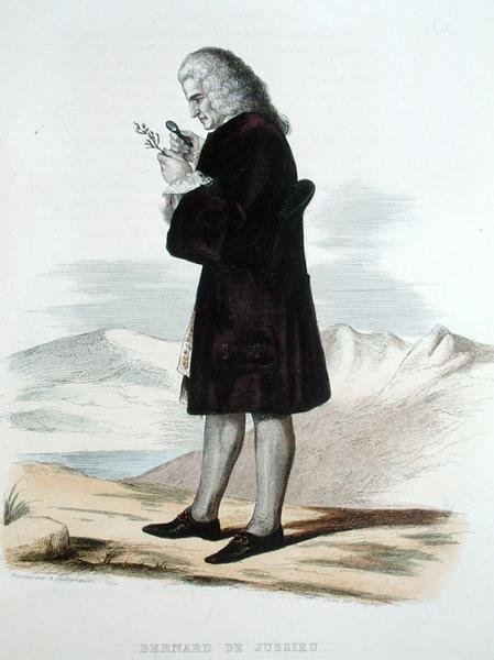 Bernard de Jussieu 1699-1777