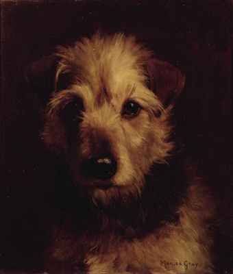 Portrait of a Terrier