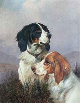 Setters on a Moor