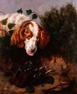 Just Shot  Spaniel with a Dead Grouse