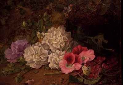 Still Life with Butterflies