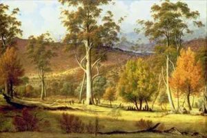 Natives in the Eucalypt Forest on Mills Plains Patterdale Farm