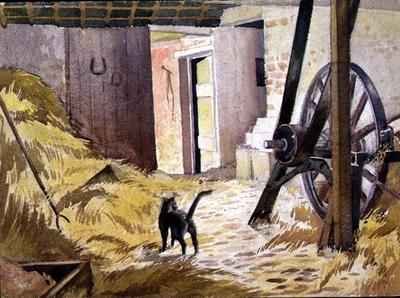 A Barn with cat and agricultural machinery