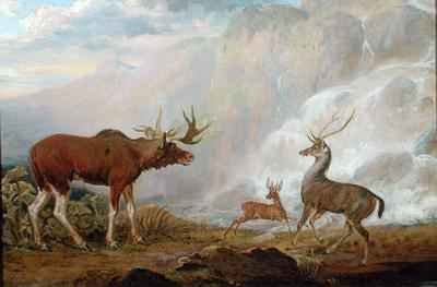 Earl of Orfords Elk Antelope and Stag