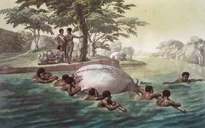 Gingri Tribesmen Crossing the River Zebee