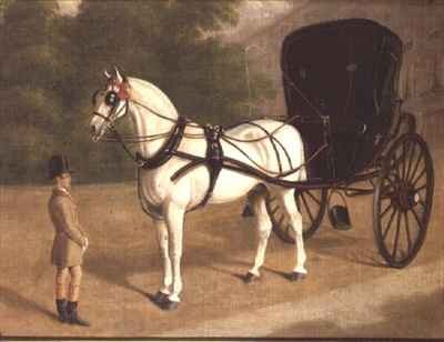 A Grey Horse and Cabriolet with Groom