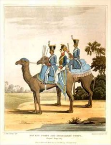 Rocket Corps and Dromedary Corps Bengal Army