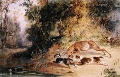 Deerhound and Bitch Cornering a Stag at the Edge of a Woodland Pool