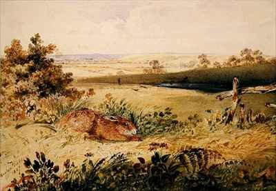 Hare in a Landscape