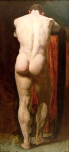 Standing Male Nude