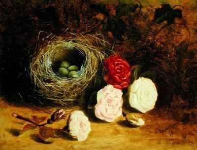 Still life of birds nest and roses