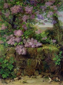 Blooming Lilacs in front of a Wall