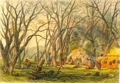 Indian Sugar Camp