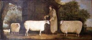 A Shepherd with his Flock