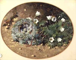 Birds Nest with White Harebells